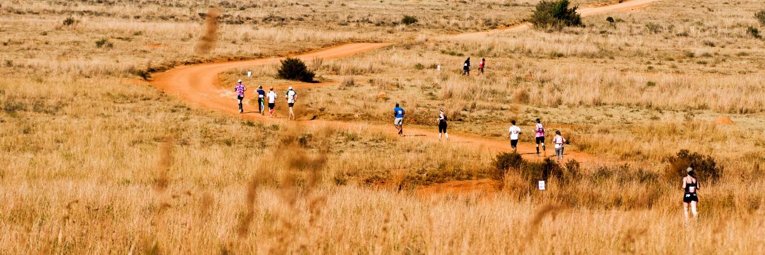 hardlopers in de savannes tijdens de Big Five marathon