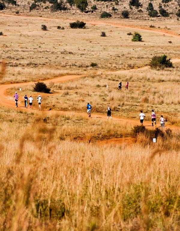Big Five Marathon in Zuid-Afrika